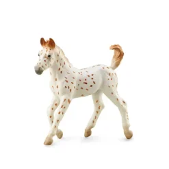 Knabstrupper Foal - Leopard Spotted
