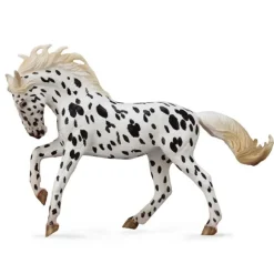 Knabstrupper Mare Black Leopard