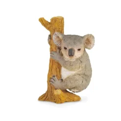 Koala Bear Climbing