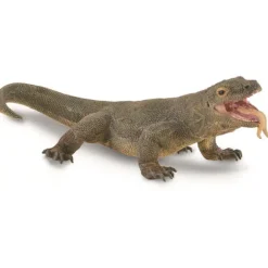 Komodo Dragon