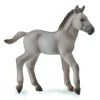 Konik Foal - Blue Dun