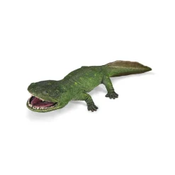 Koolasuchus Cleelandi