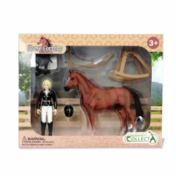 Lady Tournament Rider & Accessories Window Box