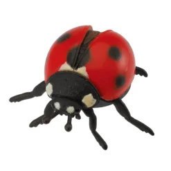 Ladybird