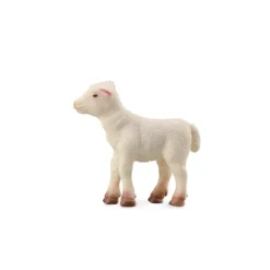 Lamb