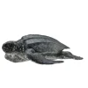 Leatherback Sea Turtle