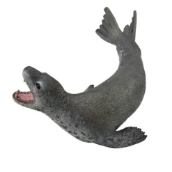 Leopard Seal
