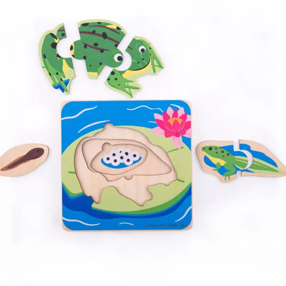 Lifecycle Layer Puzzle - Frog