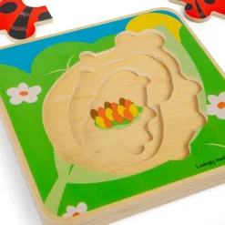 Lifecycle Layer Puzzle - Ladybug