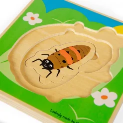 Lifecycle Layer Puzzle - Ladybug