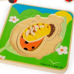 Lifecycle Layer Puzzle - Ladybug