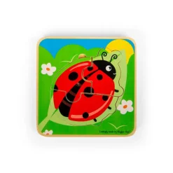 Lifecycle Layer Puzzle - Ladybug