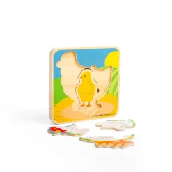 Lifecycle Puzzle - Chicken