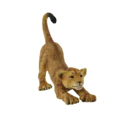 Lion Cub Stretching