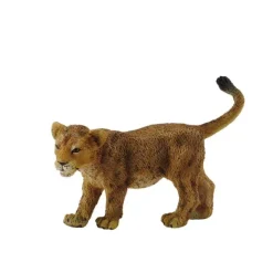 Lion Cub Walking