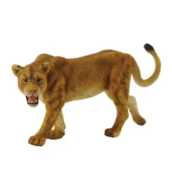 Lioness