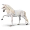 Lipizzaner Mare - Spanish walk