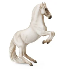 Lipizzaner Stallion