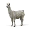Llama