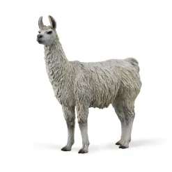 Llama