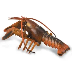 Lobster