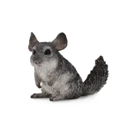 Long Tailed Chinchilla