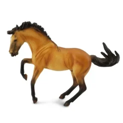 Lusitano Stallion Buckskin