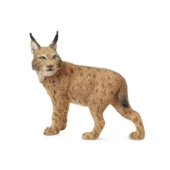 Lynx