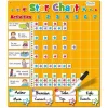Magnetic Large Star Chart