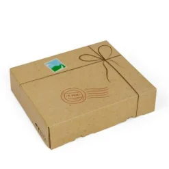 Mail Carrier Dress Up - DAMAGED BOX