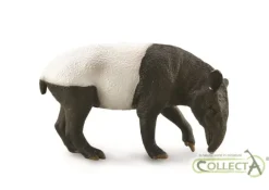 Malayan Tapir