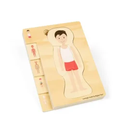 Male Human Anatomy Puzzle