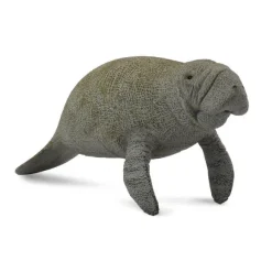 Manatee