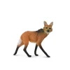 Maned Wolf