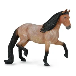 Mangalarga Marchador Stallion Bay Roan