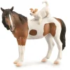 Mare & Terrier