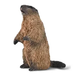 Marmot