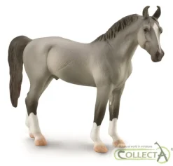Marwari Stallion - Grey