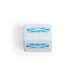Milk Carton (Pack of 2)