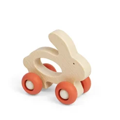 Mini Animal Push Alongs - Rabbit