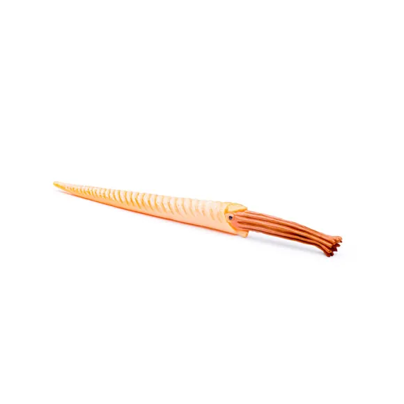Mini Prehistoric Marine Animals