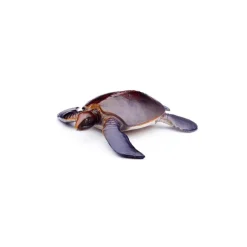 Mini Prehistoric Marine Animals