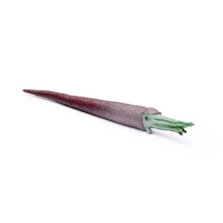 Mini Prehistoric Marine Animals