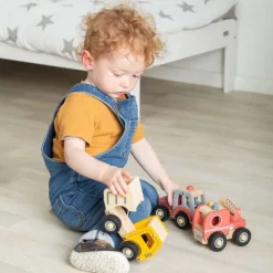 Mini Tipper Truck