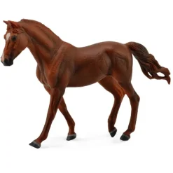 Missouri Fox Trotter Mare Chestnut