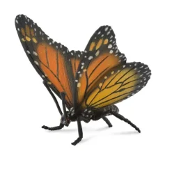 Monarch Butterfly