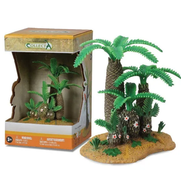 Monathesia Und Cycadeoidea