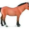 Mongolian Stallion  Light Bay