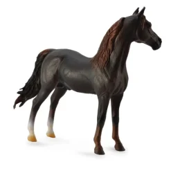 Morgan Stallion Chestnut