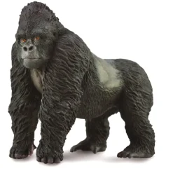 Mountain Gorilla